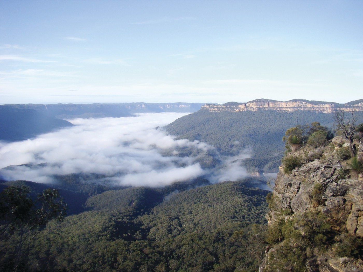 Mist filling the Jamison Valley below sandstone cliffs in the Blue Mountains