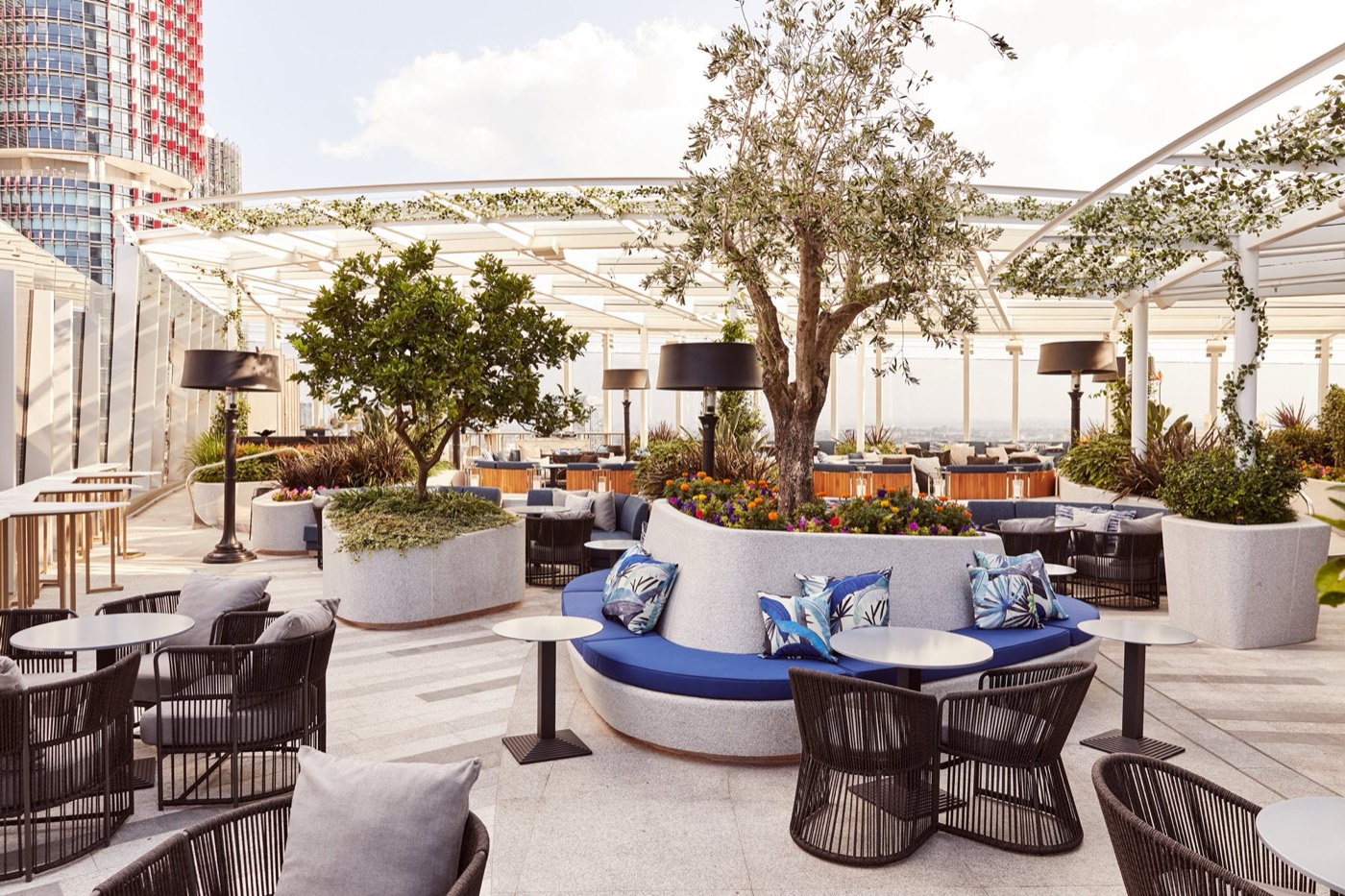 Olive trees and lounge seating on CIRQ's open-air terrace at Crown Sydney