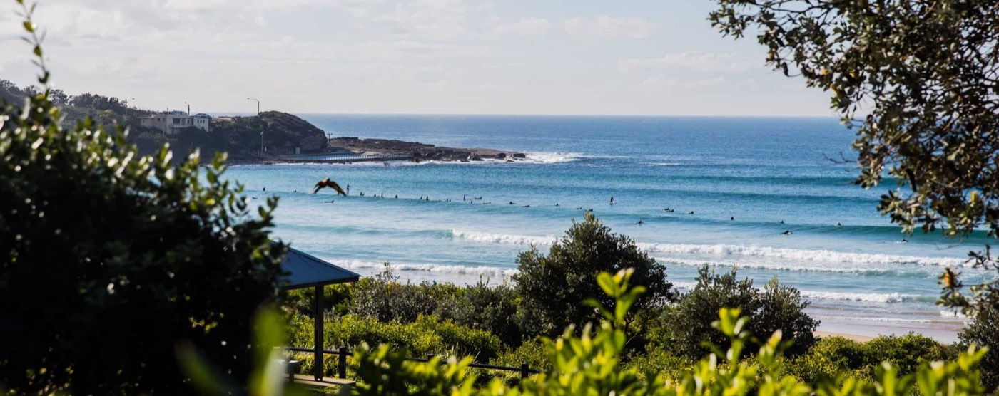 View over Freshwater Beach and the surf from Pilu