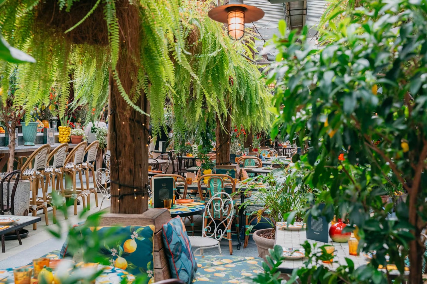 Fern-filled dining space with hanging plants at The Grounds