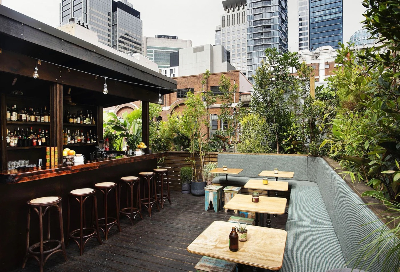 Leafy rooftop terrace and bar at Old Mate's Place among CBD towers
