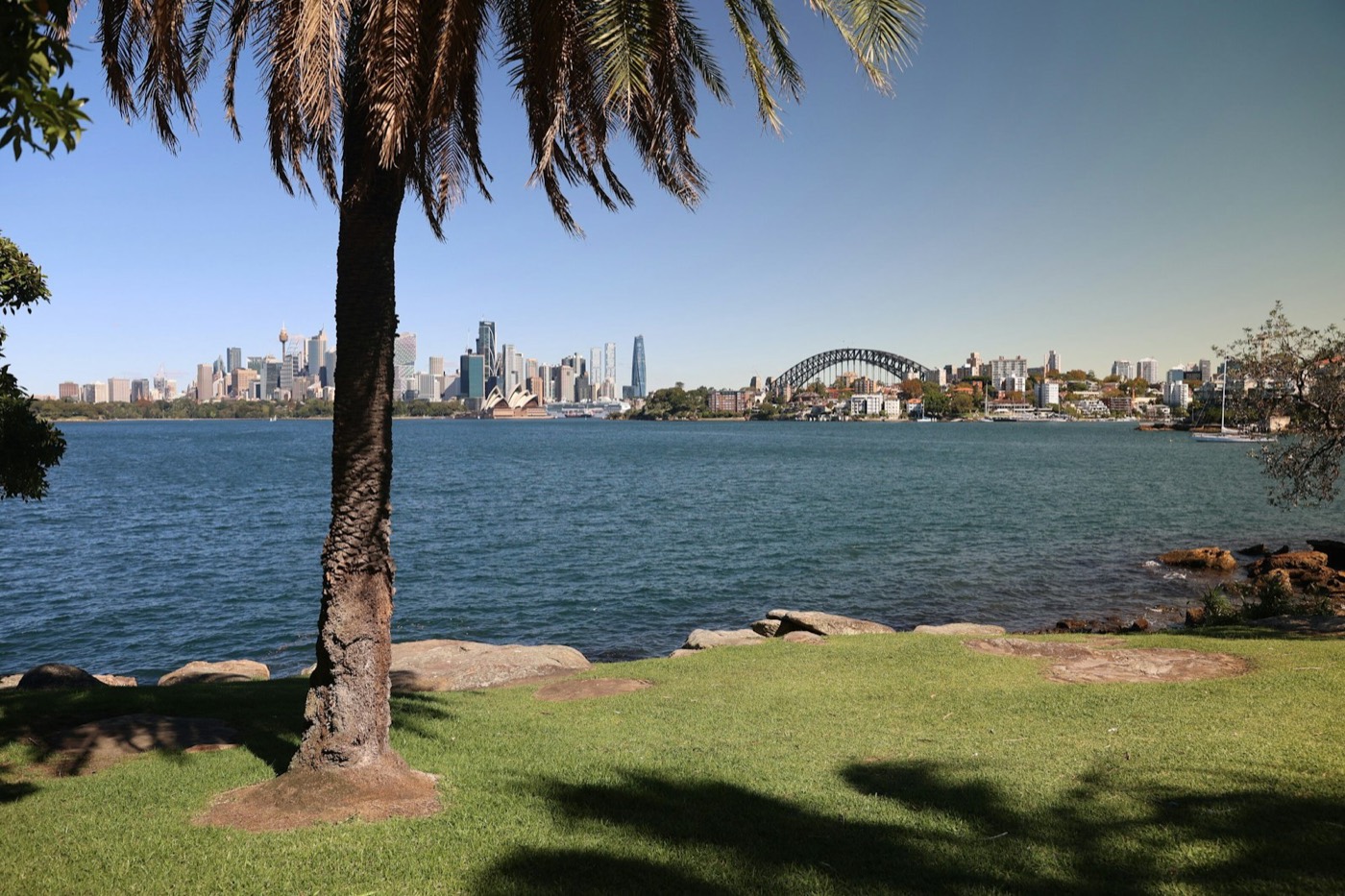 Grassy foreshore at Cremorne Point under a palm, looking across the harbour to the city and Bridge