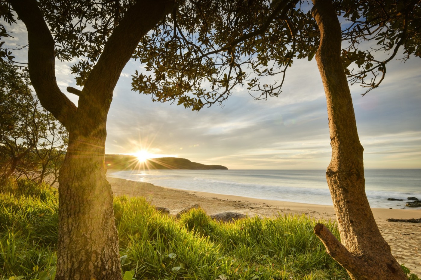 Sunrise over Killcare Beach on the Central Coast framed by trees