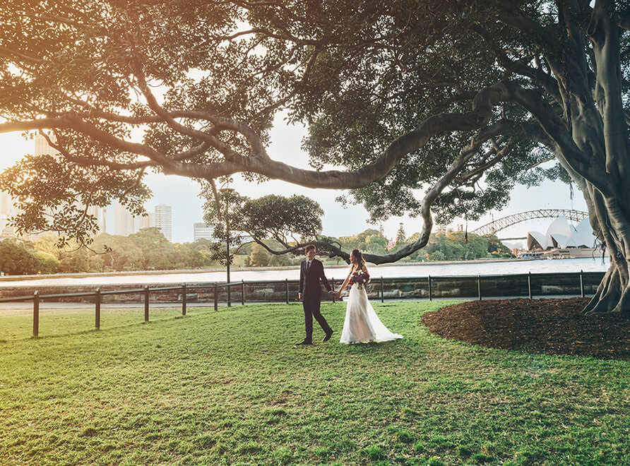 Couple walking beneath a fig tree in the Royal Botanic Garden with the Opera House and Harbour Bridge behind